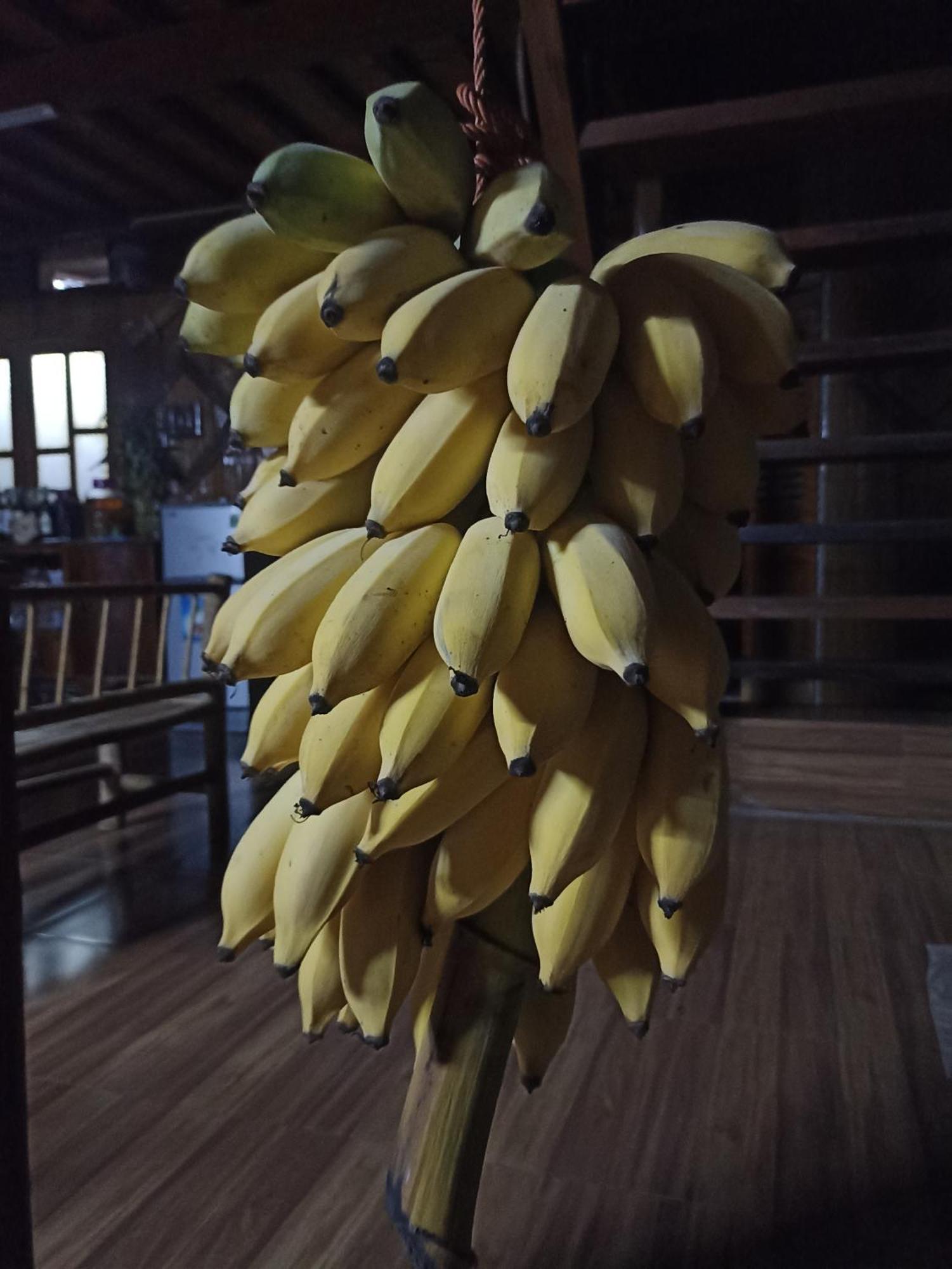 Thao Ly Homestay Mai Chau Hòa Bình Exteriör bild
