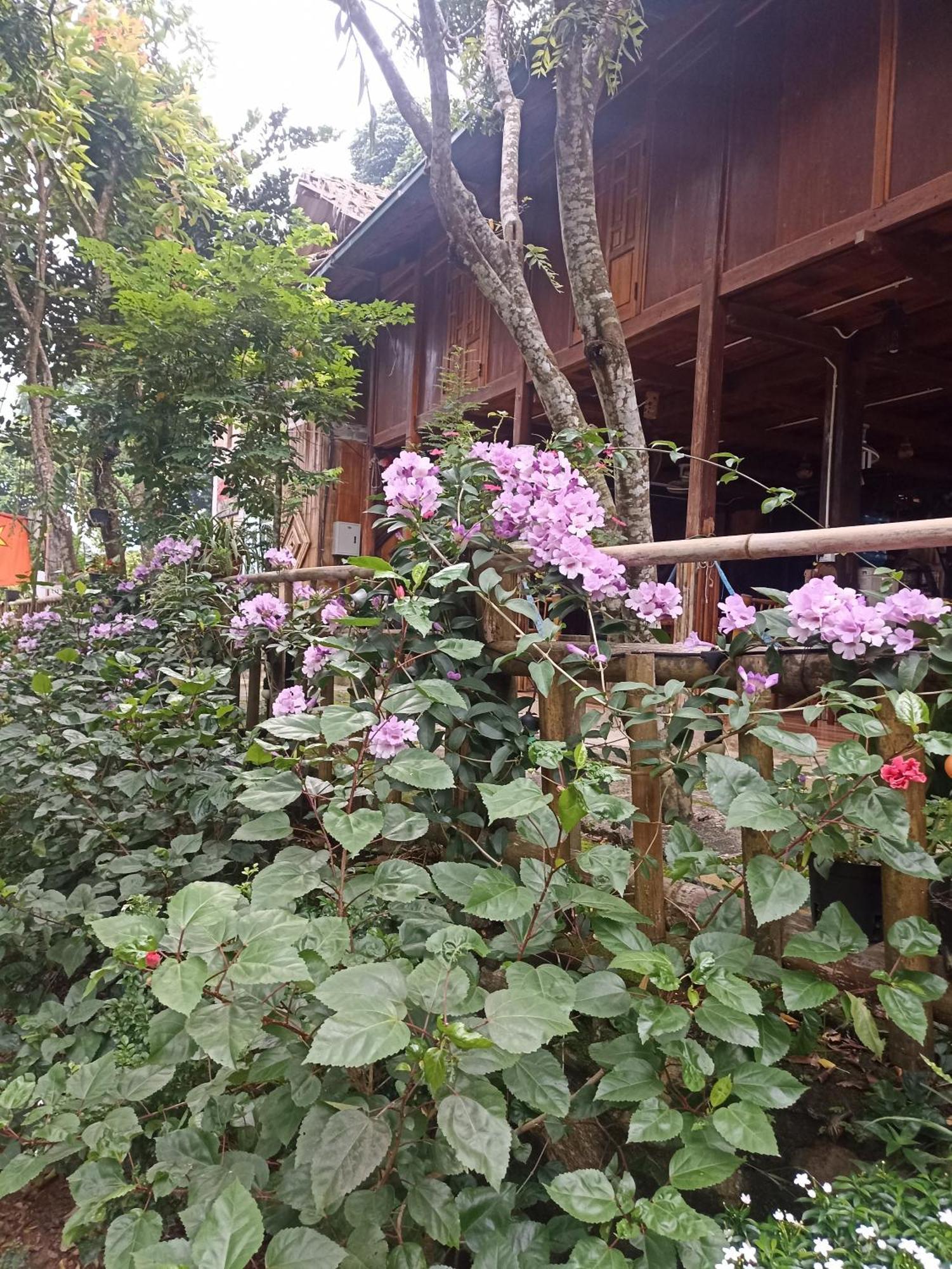 Thao Ly Homestay Mai Chau Hòa Bình Exteriör bild