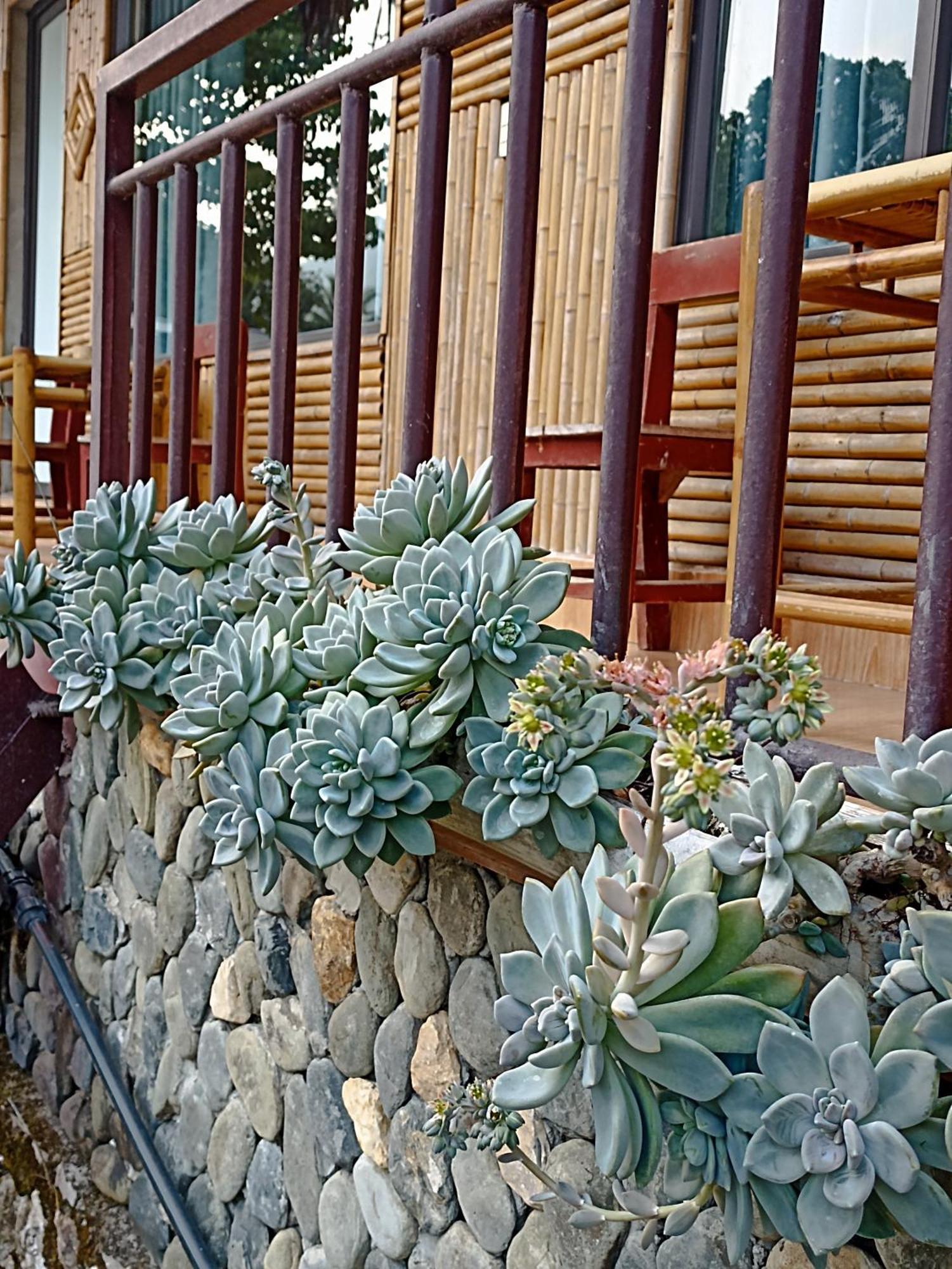 Thao Ly Homestay Mai Chau Hòa Bình Exteriör bild